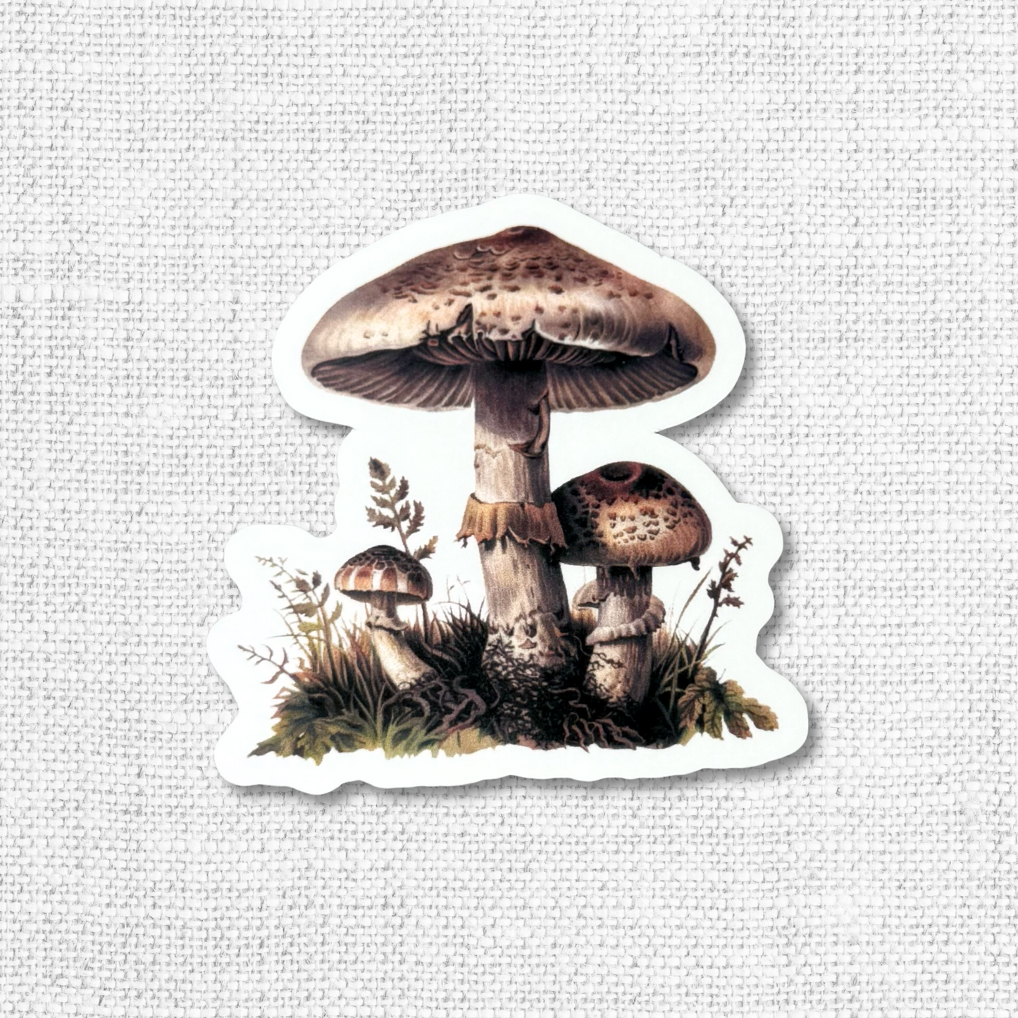 Mushrooms & Insects Sticker Pack-12 Pack