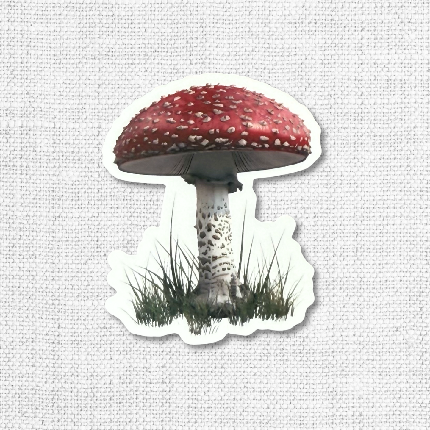 Mushrooms & Insects Sticker Pack-12 Pack