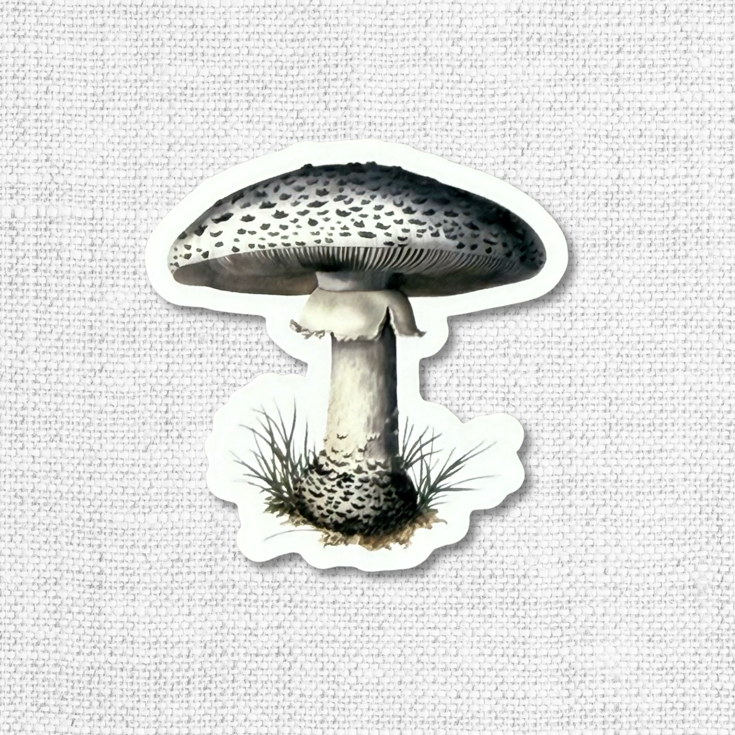 Mushrooms & Insects Sticker Pack-12 Pack
