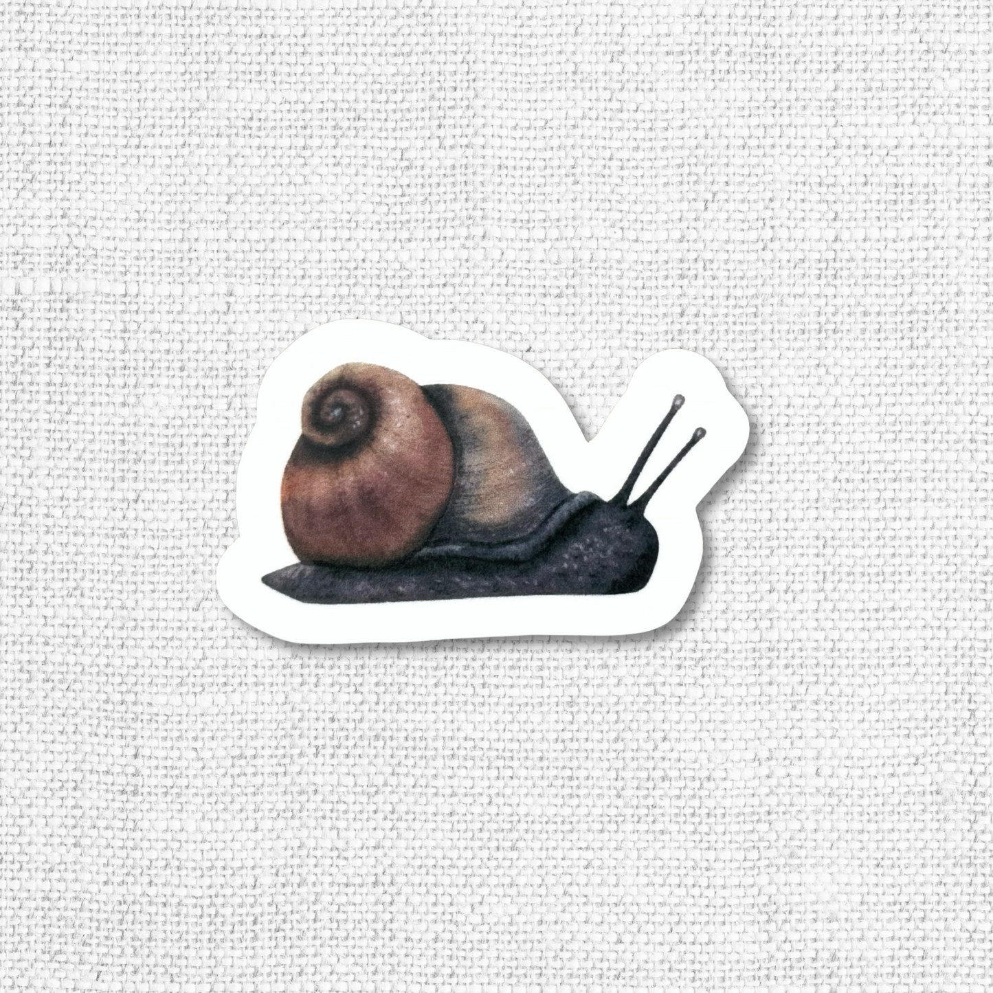 Mushrooms & Insects Sticker Pack-12 Pack