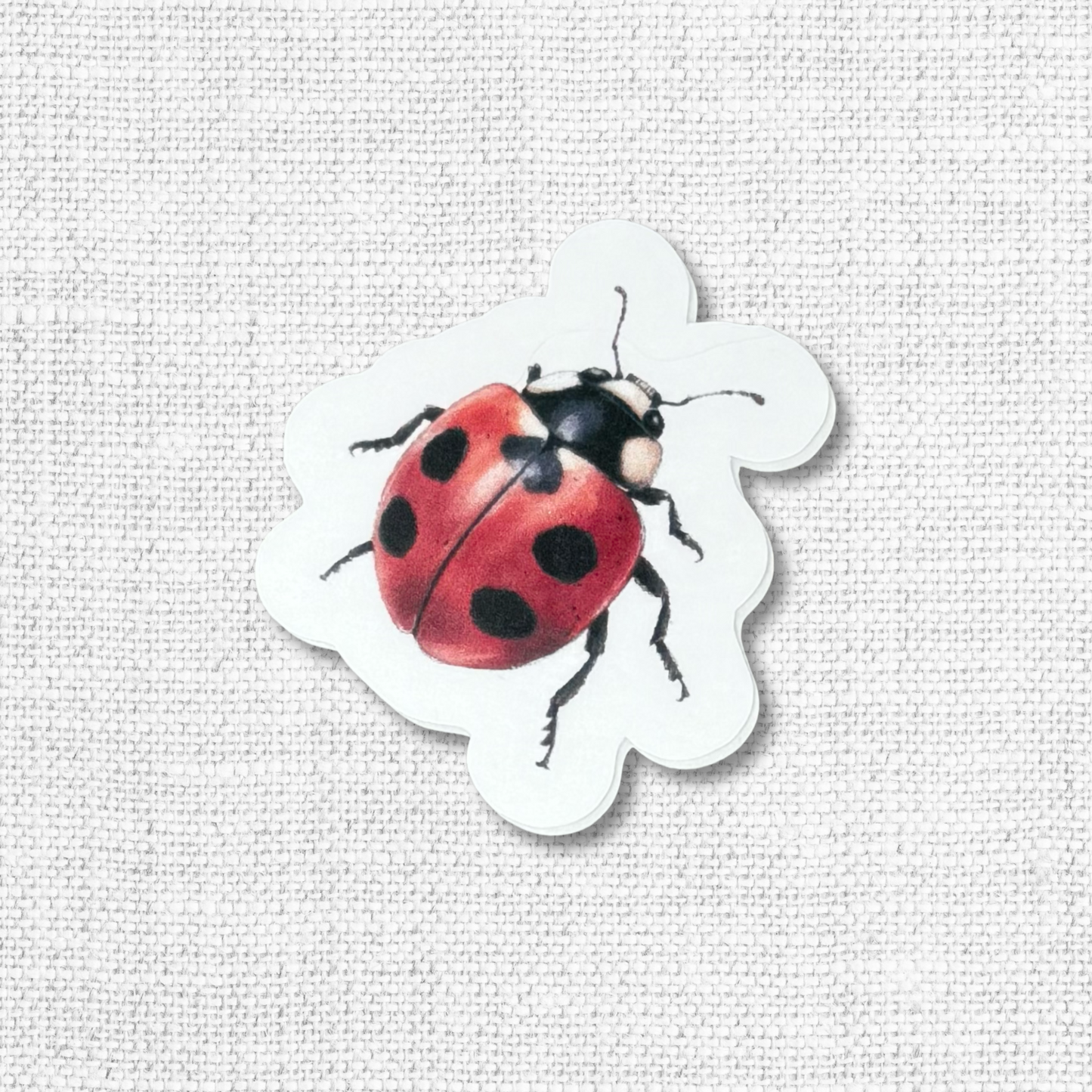 Mushrooms & Insects Sticker Pack-12 Pack