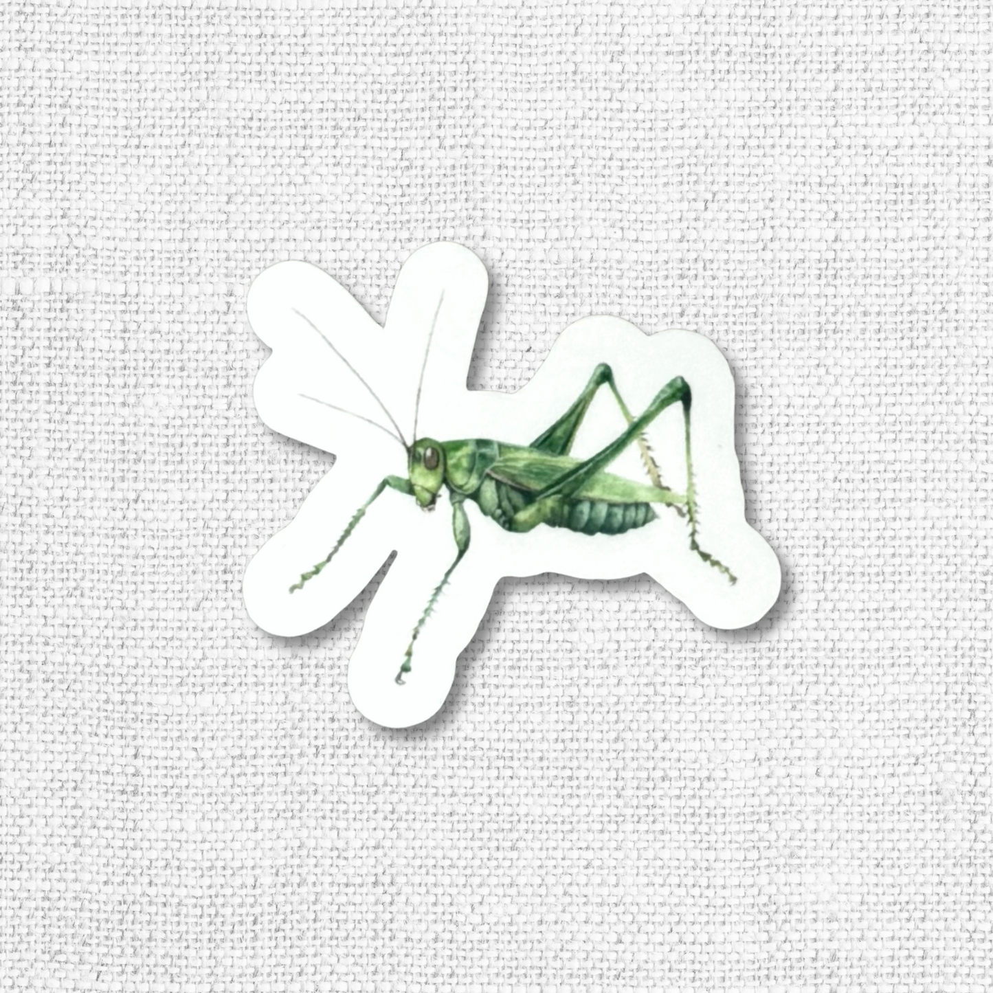 Mushrooms & Insects Sticker Pack-12 Pack