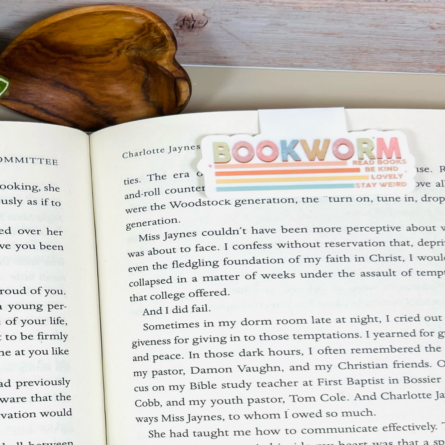 Magnetic Bookmark - Bookworm